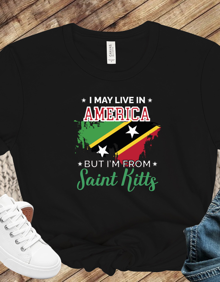 I May Live In America tshirt