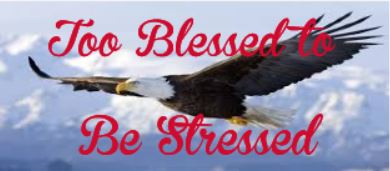 Mug- Too Blessed to be Stressed